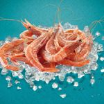 Gamba-blanca-cruda-grande