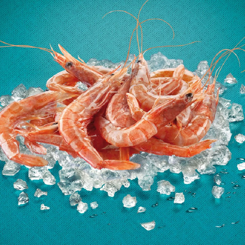 Gamba-blanca-cruda-grande