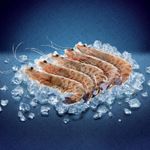 Langostino-Mediterraneo-crudo-supergrande