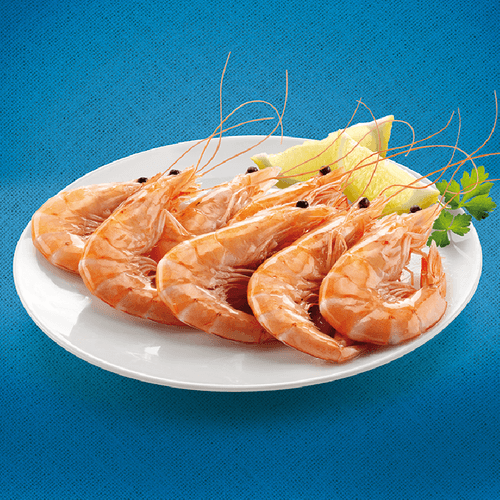Llagostí Vannamei cuit gran 20/30 pces/kg