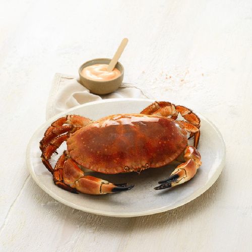 Bou de mar cuit