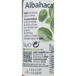 Albahaca-Carmencita