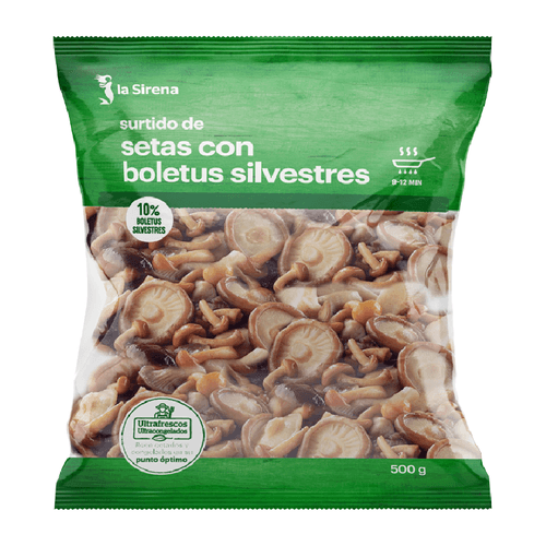 Surtido de setas con boletus silvestres
