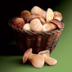 Boletus-troceados-Premium