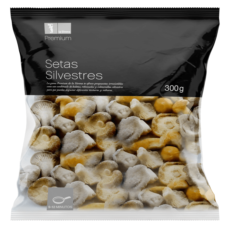 Mezcla-de-setas-silvestres-Premium