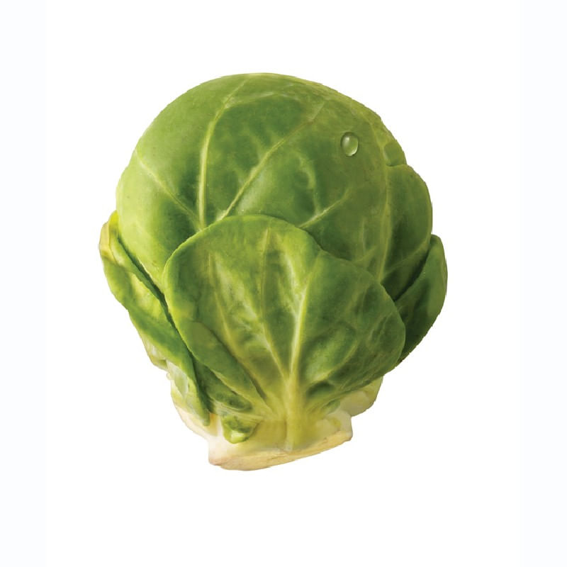 Coles-de-bruselas