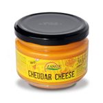 Salsa-cheddar-Zanuy