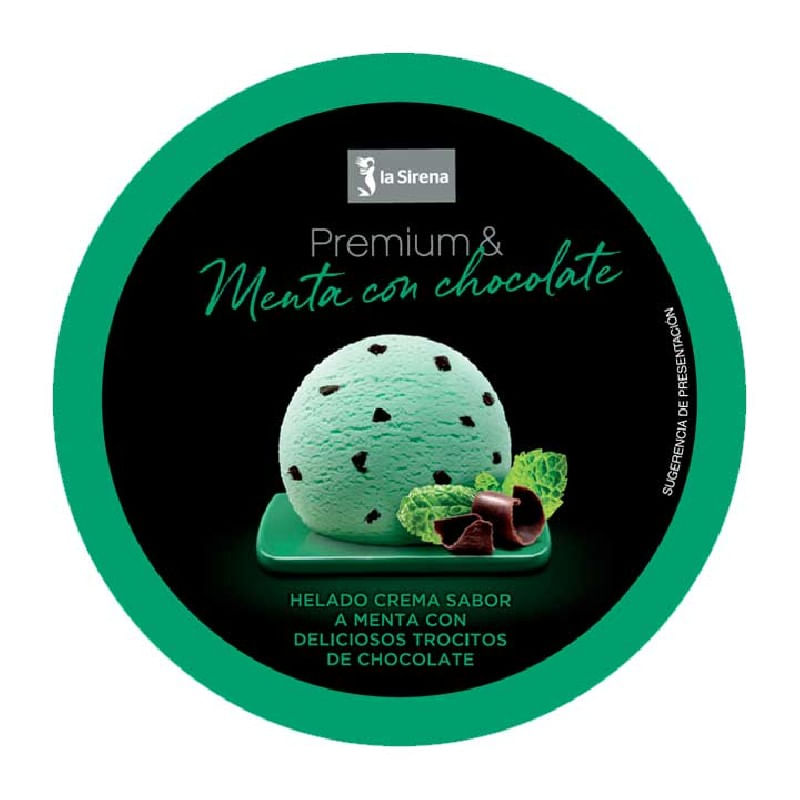 Tarrina-menta-chocolate-Premium