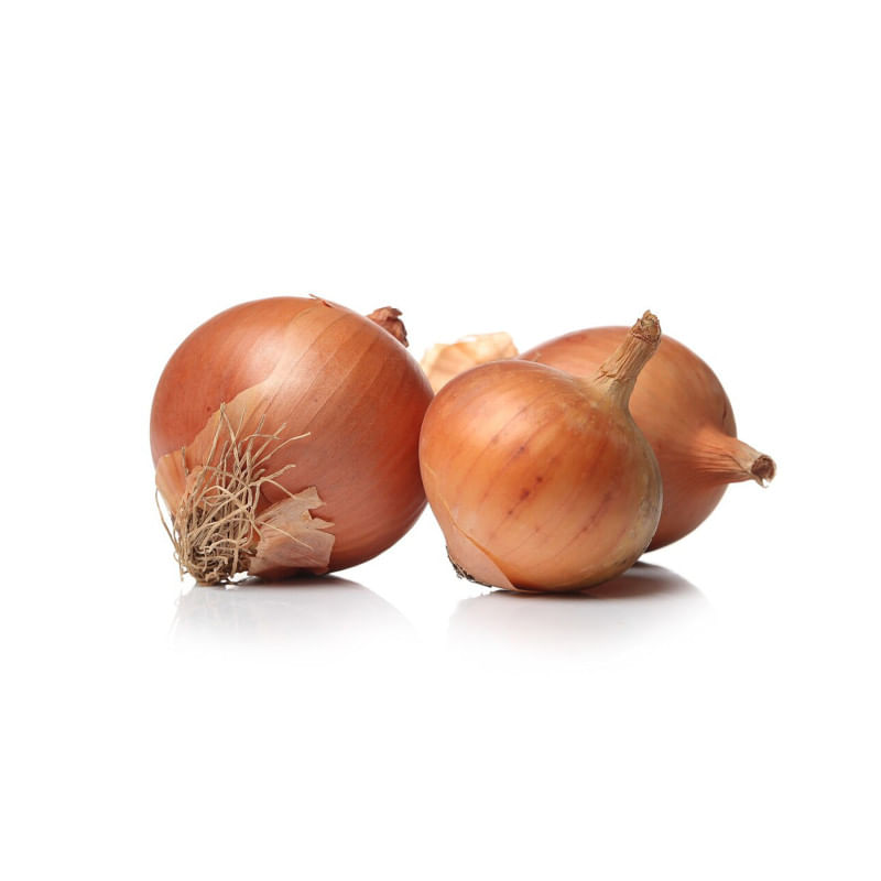 Cebolla