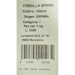Cebolla