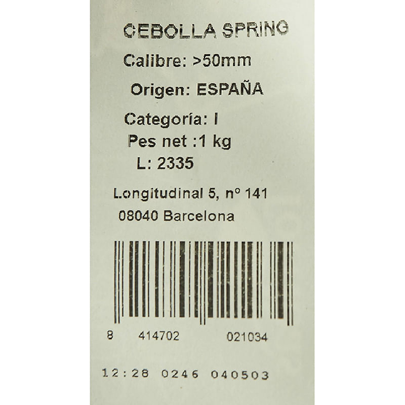 Cebolla