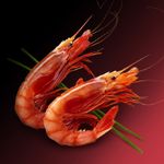 Gamba-roja-grande-Premium