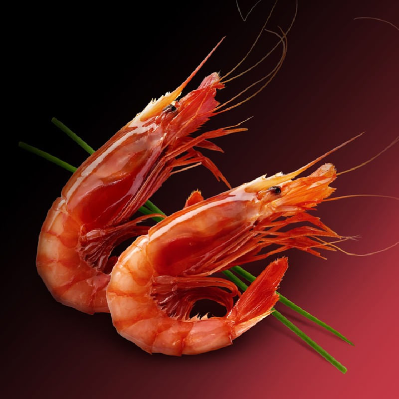 Gamba-roja-grande-Premium