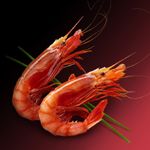 Gamba-roja-pequeña