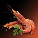 Gambon-austral-crudo-supergrande-kg