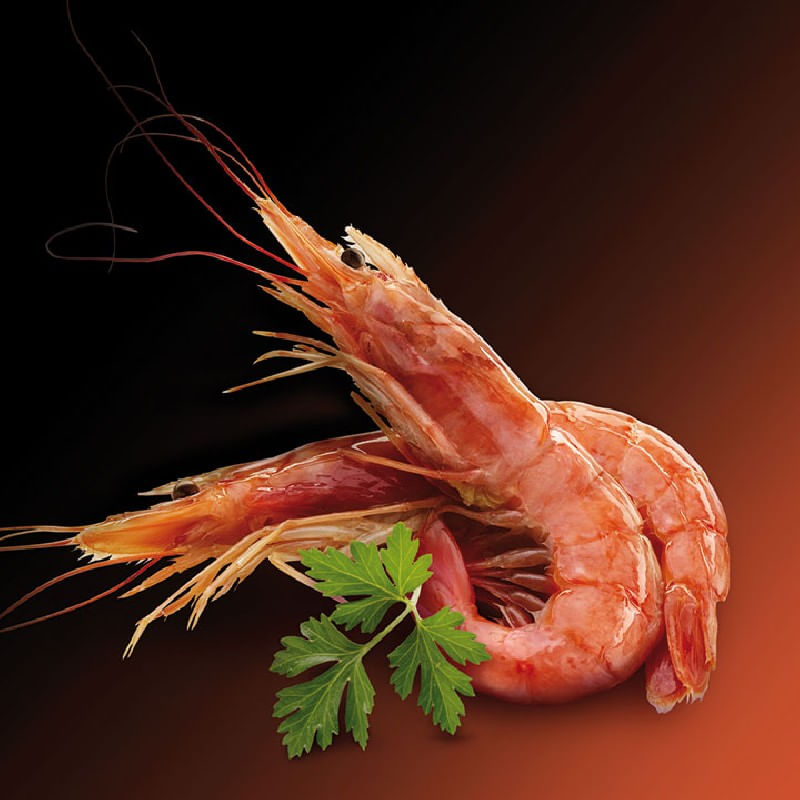 Gambon-austral-crudo-supergrande-kg