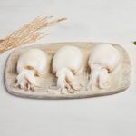 Sepia-limpia-mediana-Skinpack-Eco