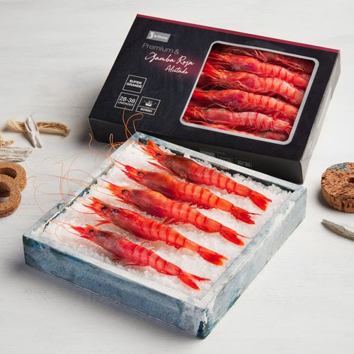 Gamba roja supergrande Premium