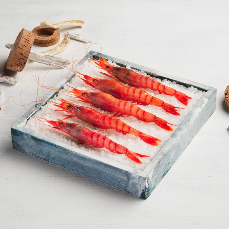 Gamba-roja-supergrande-Premium