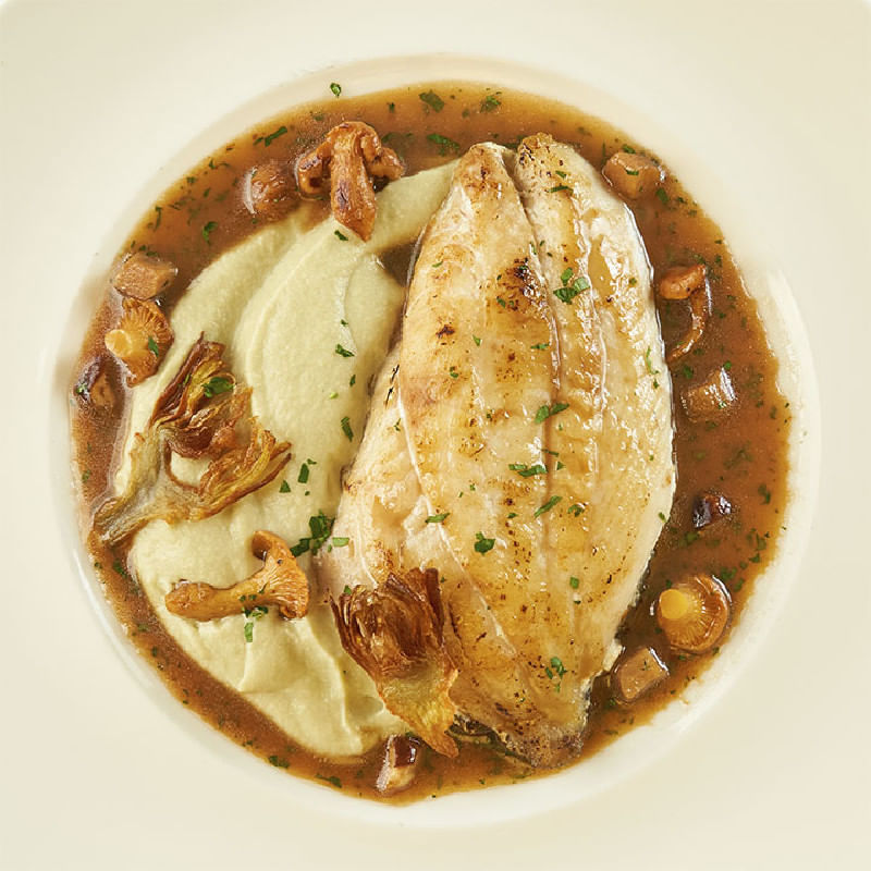 Gallo-de-San-Pedro-en-crema-de-alcachofas-y-pilpil-de-setas