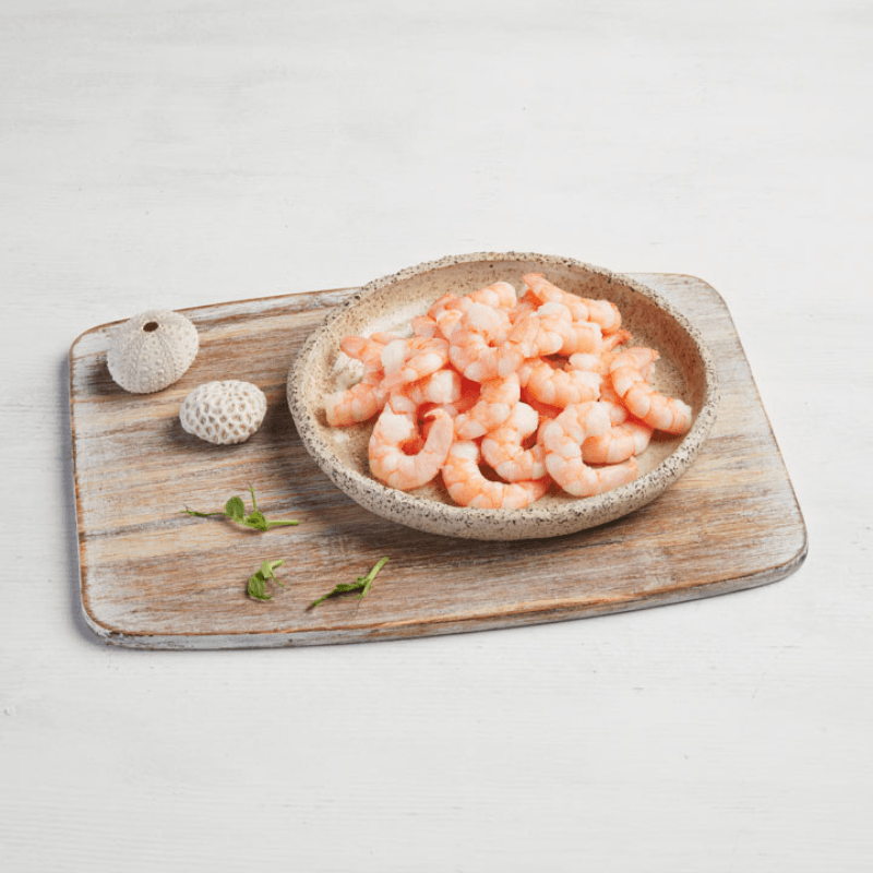 1340-gamba