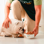 food-for-joe-comida-para-mascotas.png