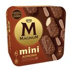 7718-mini-almond-magnum.jpg