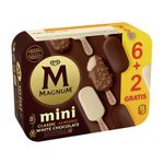 7412-surtido-mini-magnum.jpg