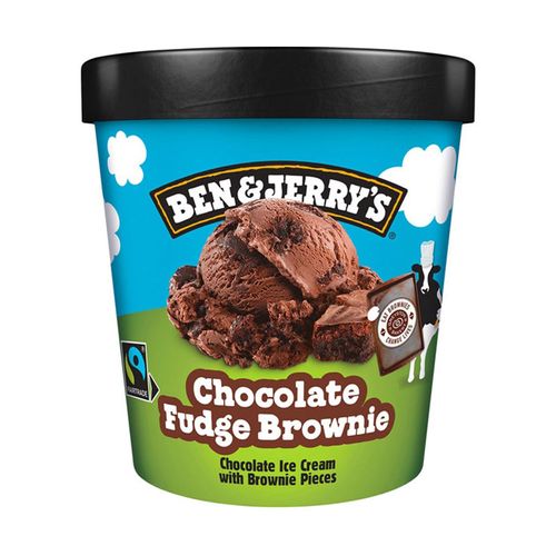 Terrina BenJerry's Choco fudge brownie