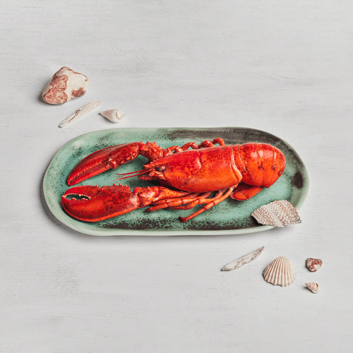 Bogavante americano cocido ultracongelado