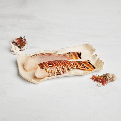 Cola de langosta Premium