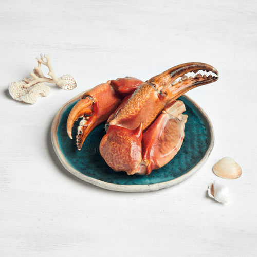 Boques supergrans de Cranc Rei