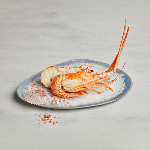 Langosta cocida partida Premium