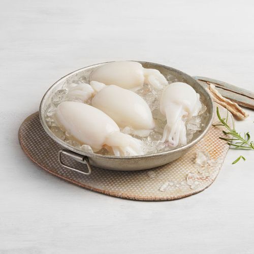 Sepia limpia 4 - 8 piezas