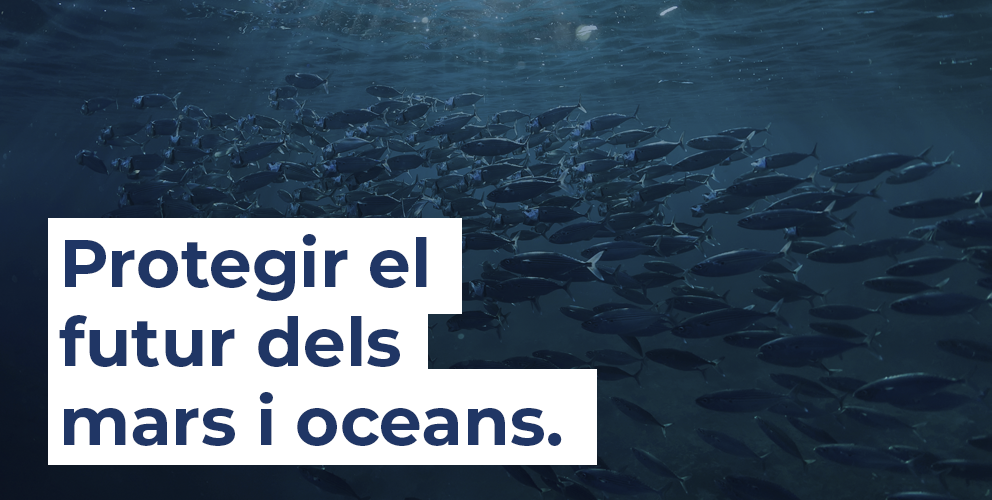 Protegir el futur dels mars i oceans
