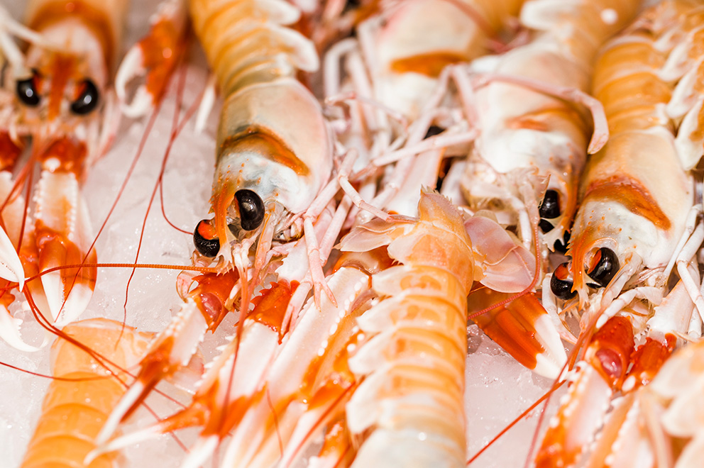 Cocer cigalas congeladas