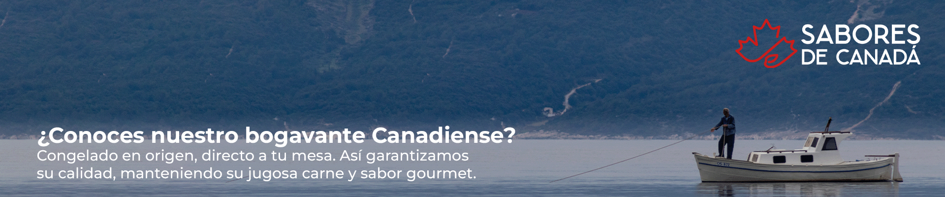 Compra bogavante congelado