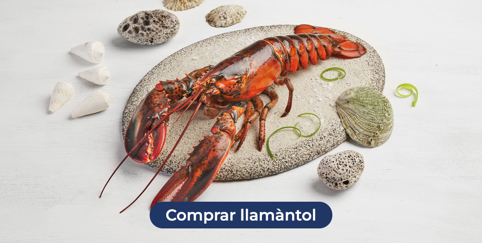 Compra llamàntol a la Sirena